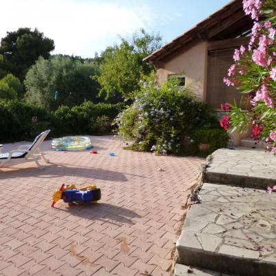 AVRL 14 Bandol - robin, jardin T5 073
